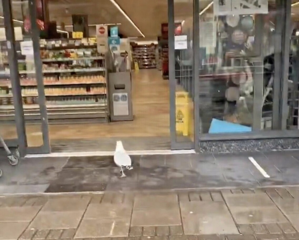 0e7b1ac3 598c 49ca ba39 0eaddbe5ec25