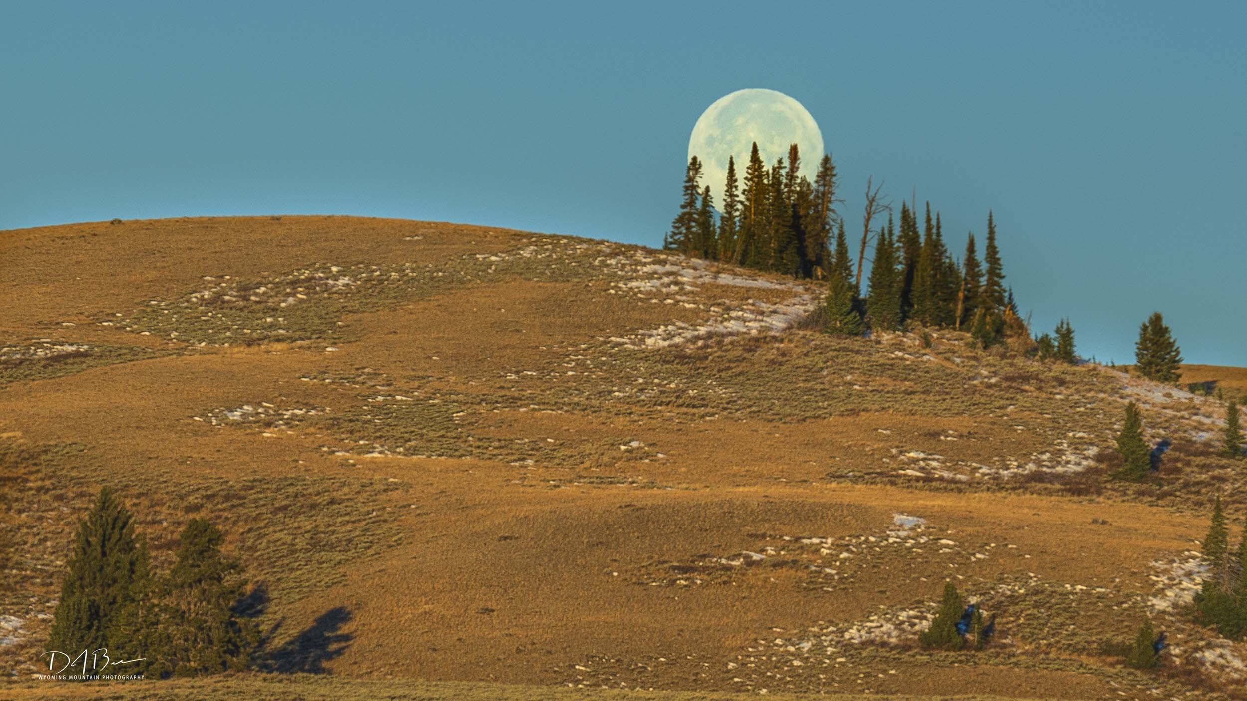 1002685 1 Full Moon Set small version 1