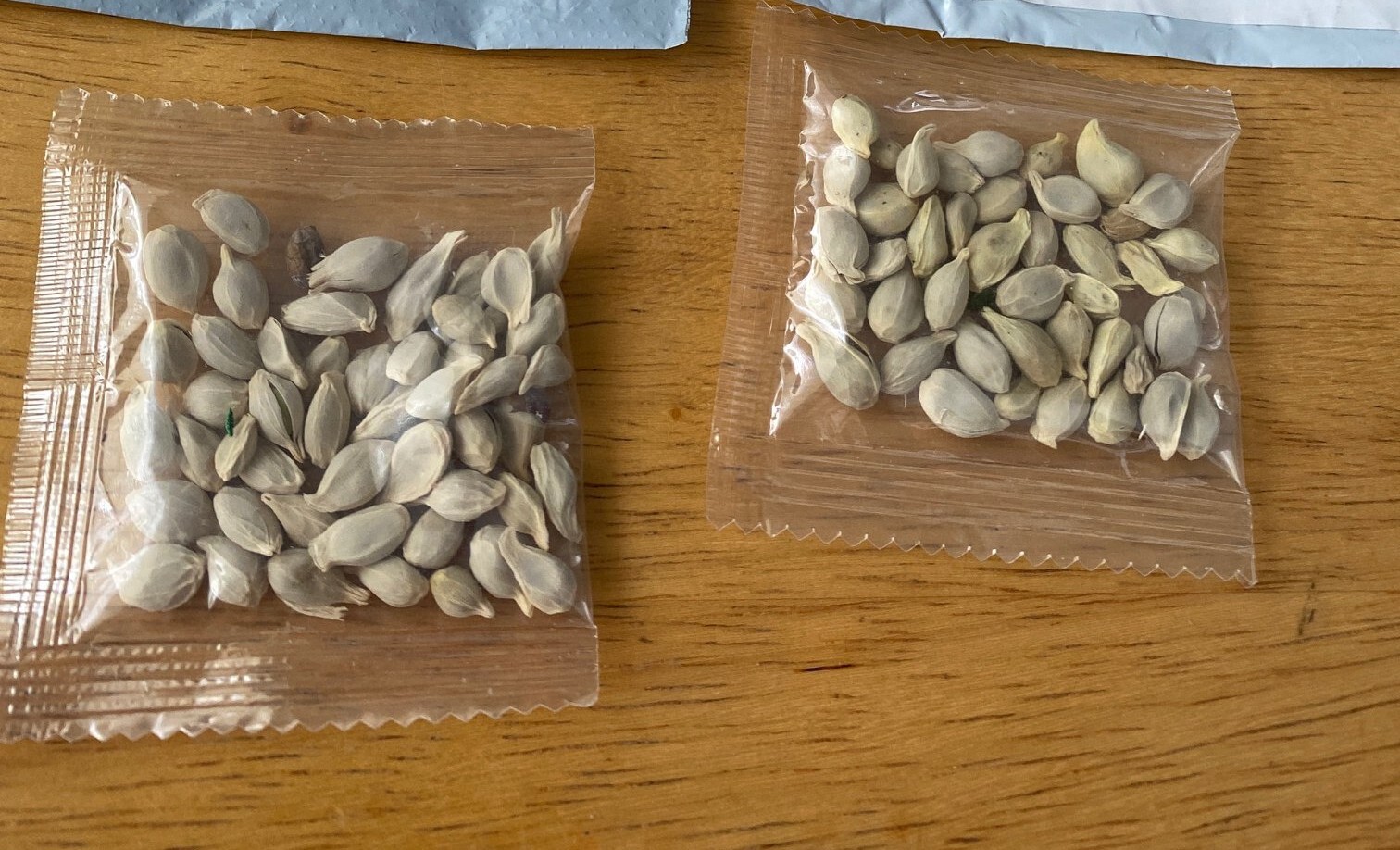 109573790 10158364331262906 1041458656858389114 o 1