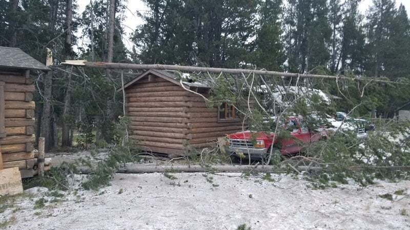 118880467 2611764665820710 1448507714335599442 n