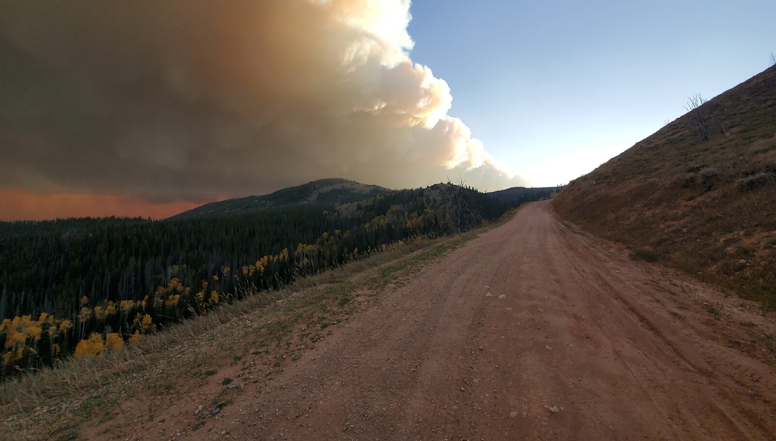 121484516 121272036408390 1897273008737129159 o 1