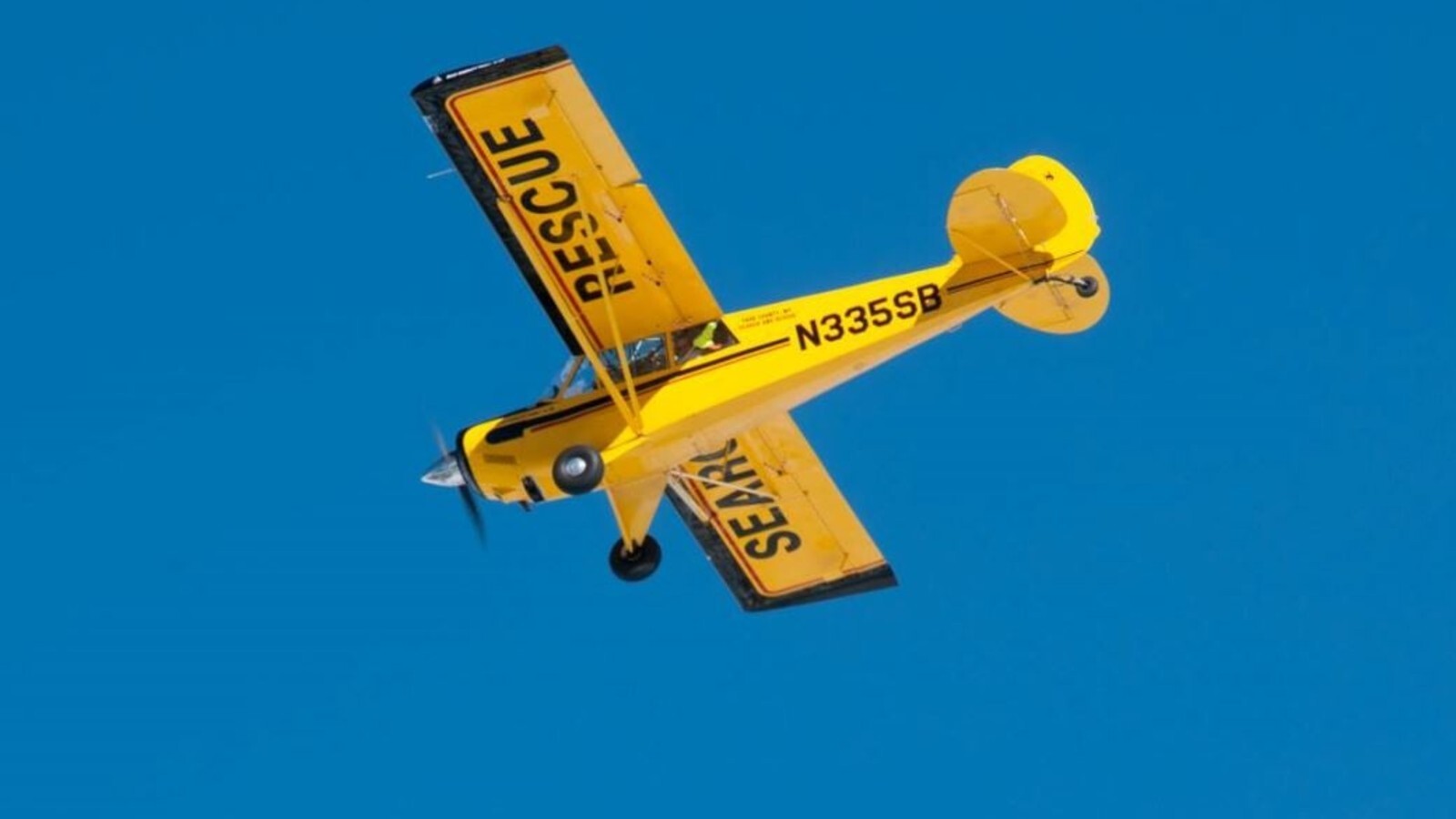 165102000 1814306918751015 1543328349287897141 o 1