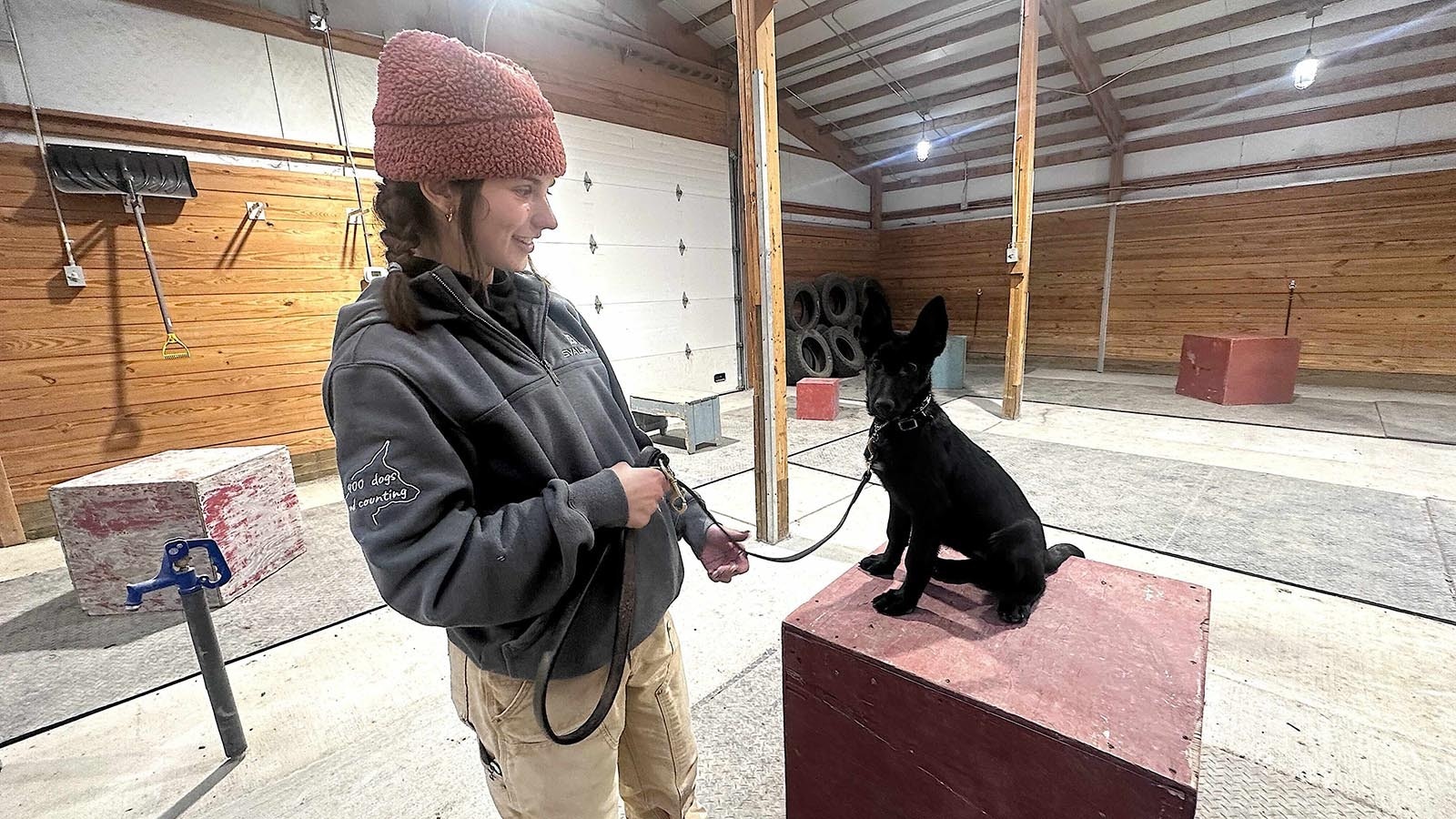 Svalinn trainer Indi Dubay works with a four-month-old pup named Cayenne, and shows off the bite suit room and fresh meat donated by a local butcher.