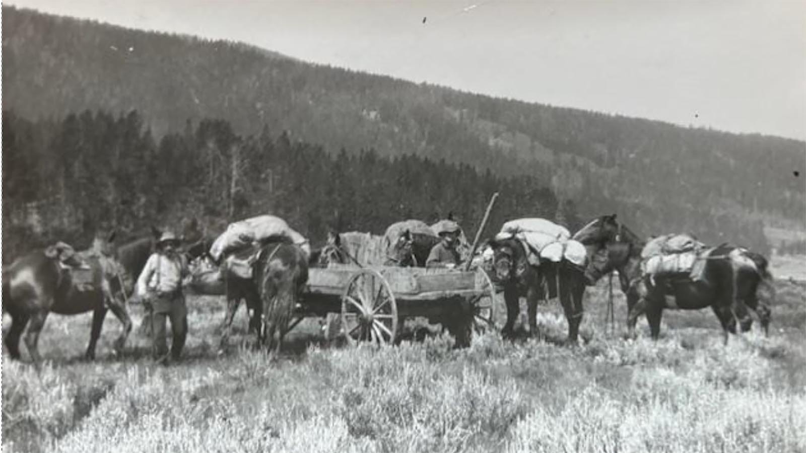 Jim Harrower and an unknown associate maintaining and establishing trails in the upper Green River Valley in the 1920s. As there were no roads in this area and few automobiles, wagons were used to transport equipment as far as practical.