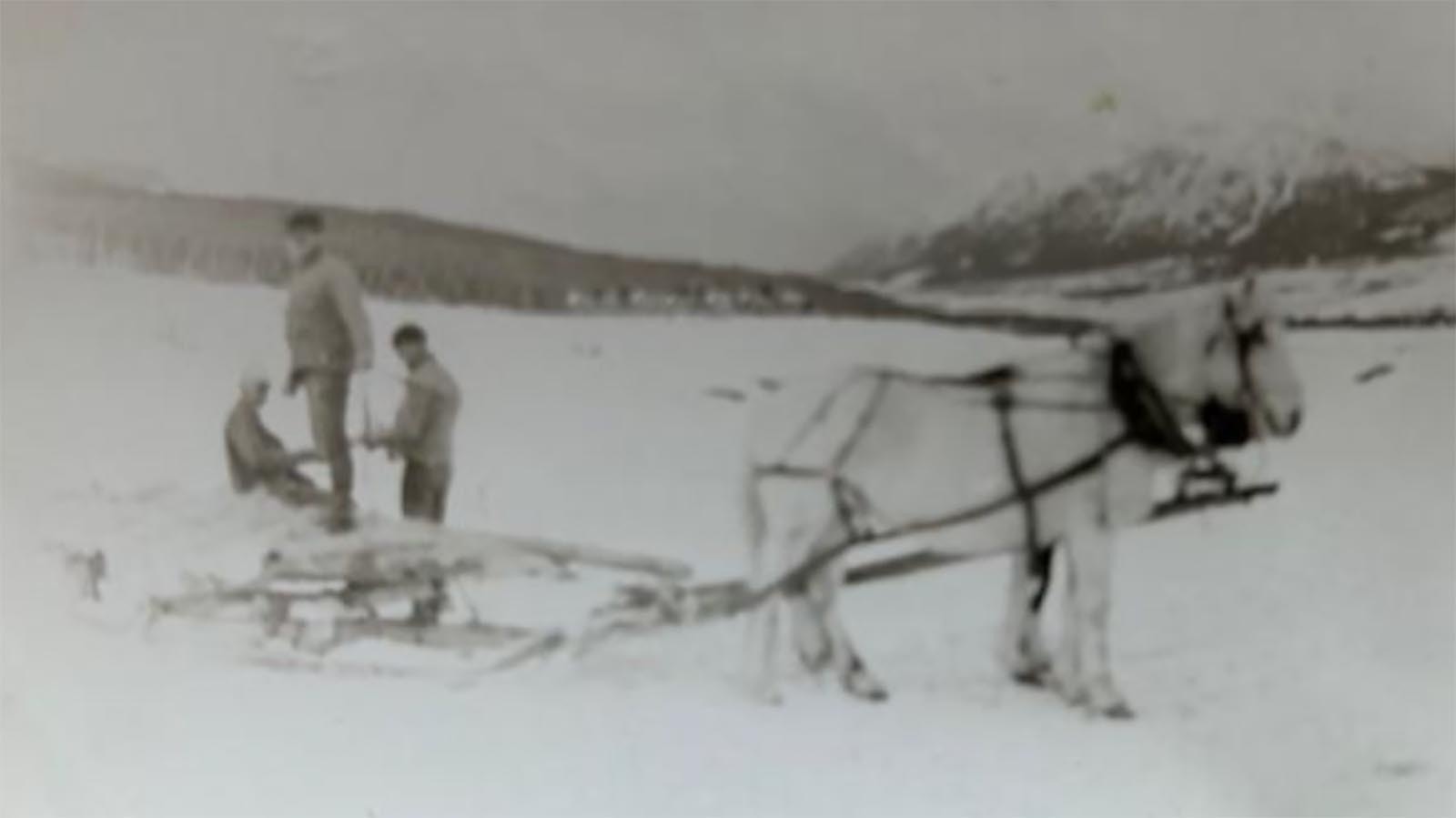 Jim Harrower and associates with a small sled they used to feed elk.