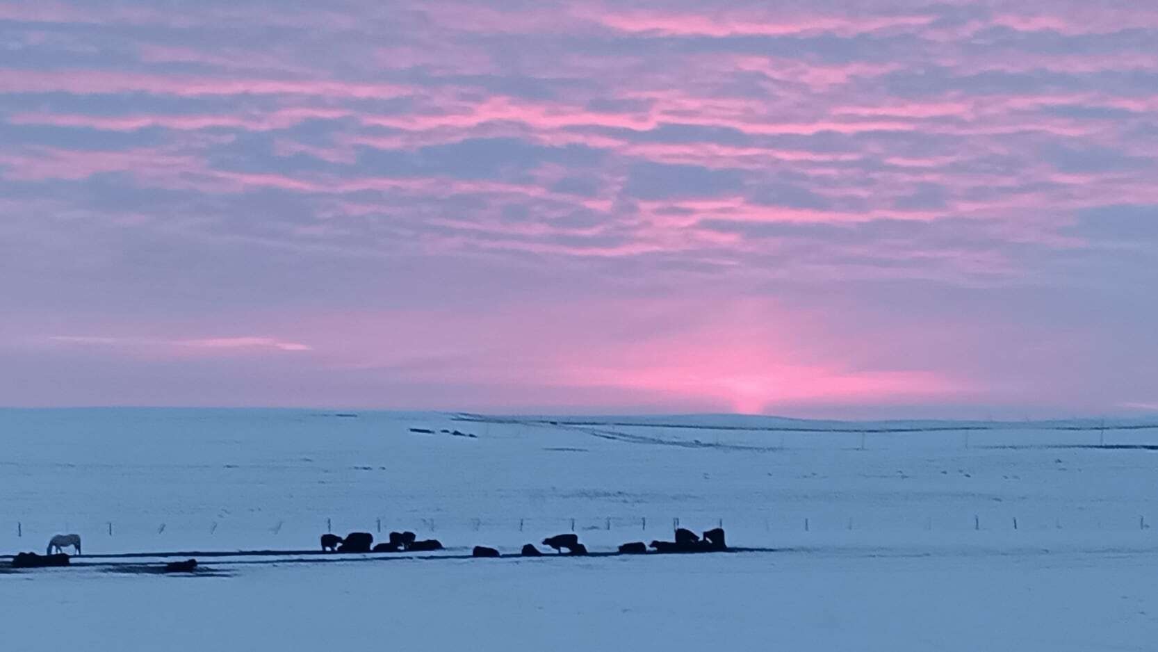 "Finally getting winter a cold and cloudy sunrise how beautiful. West of Hawk Springs "