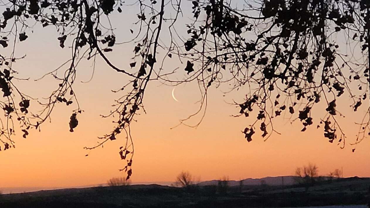 "I love Wyoming sunrises. The moon is just a splendid sight on a crisp almost spring morning in Burlington." 