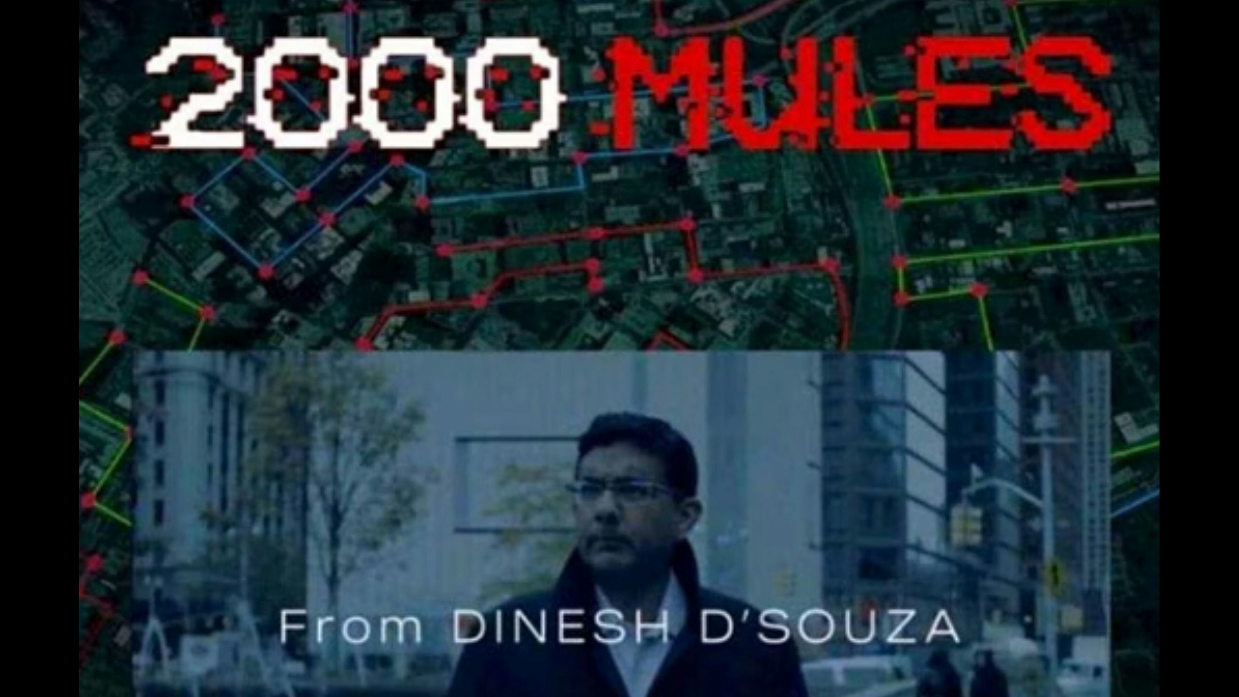 2000 mules 2 8 15 24