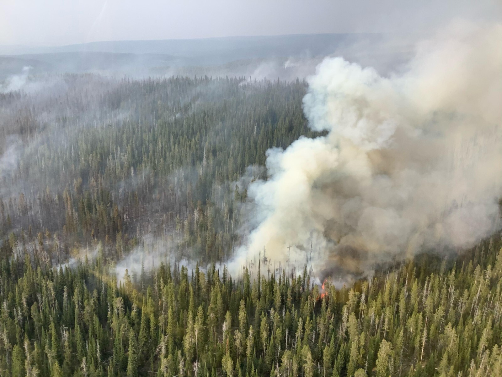 2020 08 25 18 36 34 393 CDT