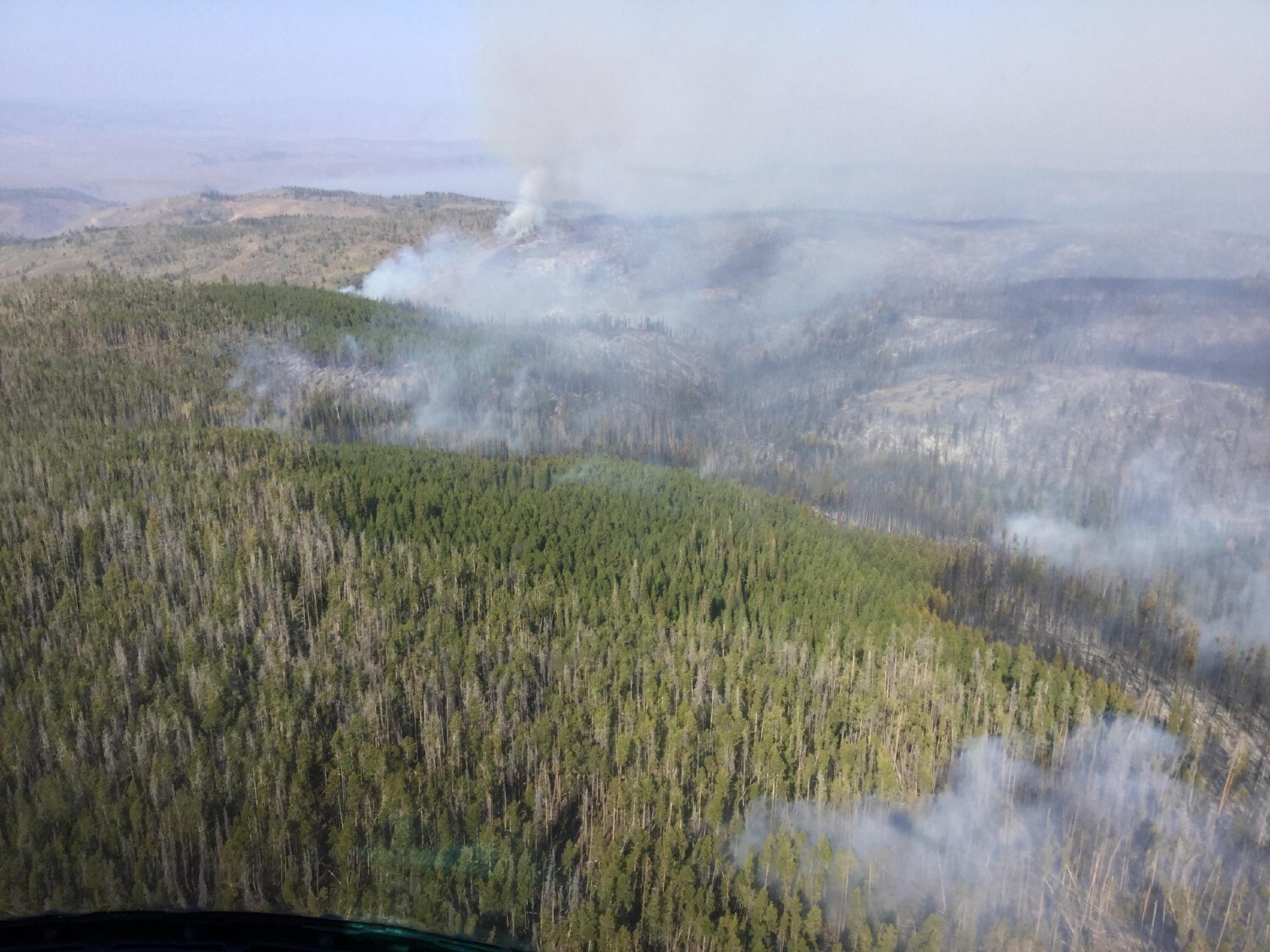 2020 09 21 17 40 32 109 CDT