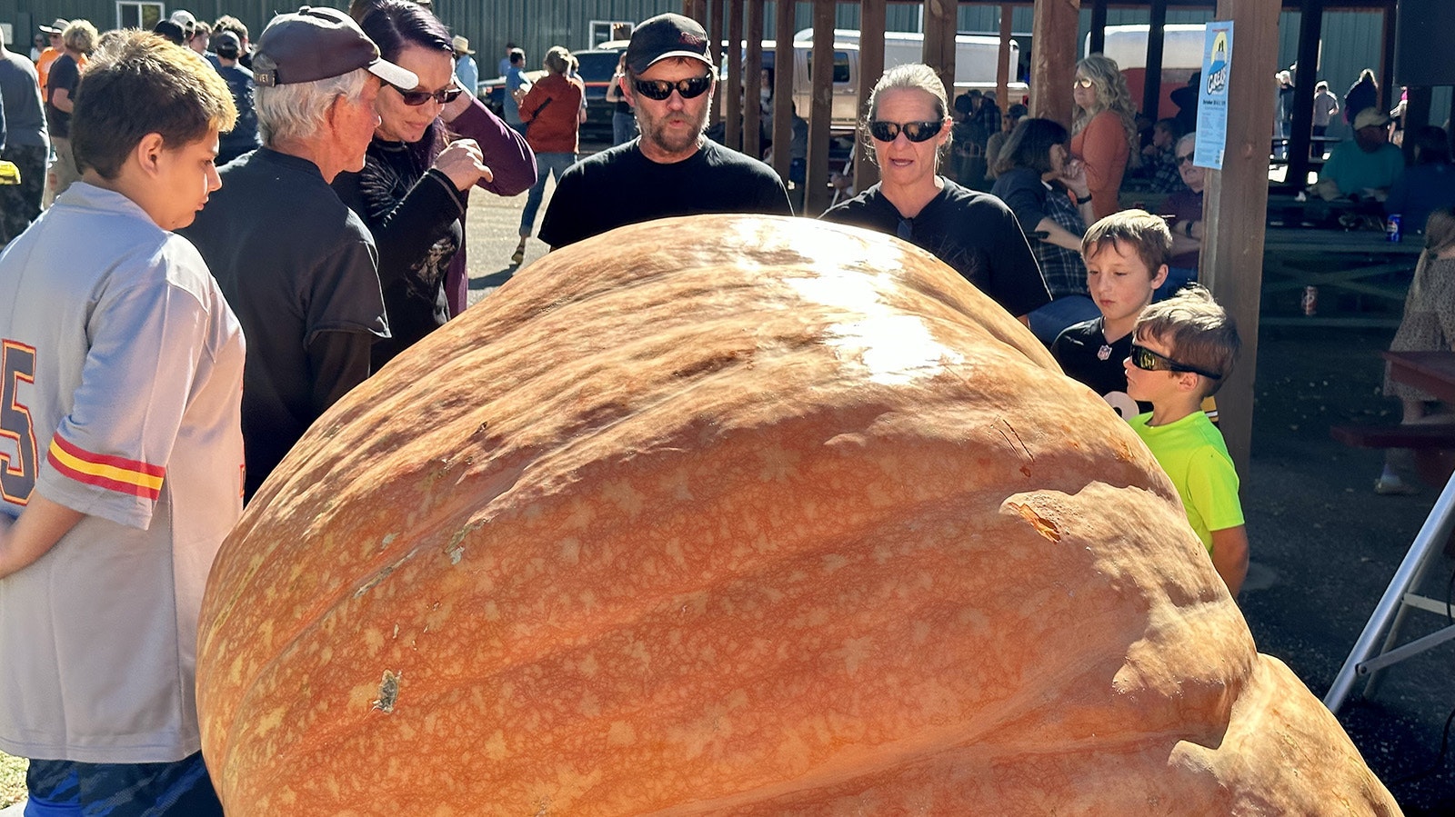 Gather 'round the pumpkin.