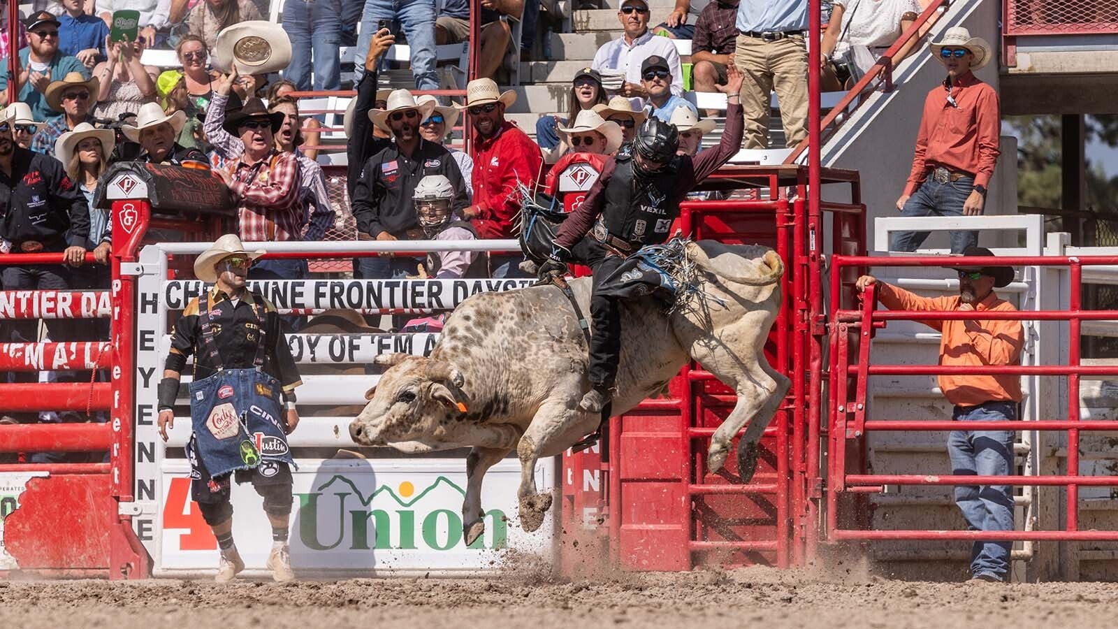 Bull riding during the rodeo at the 2024 Cheyenne Frontier Days.
