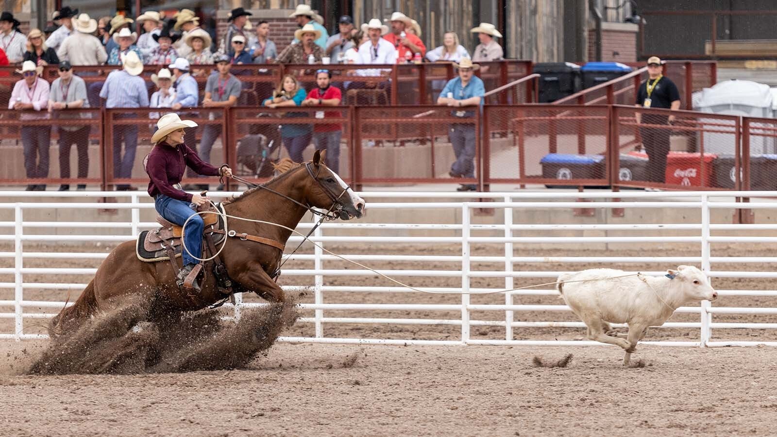 Calf roping during the rodeo at the 2024 Cheyenne Frontier Days.