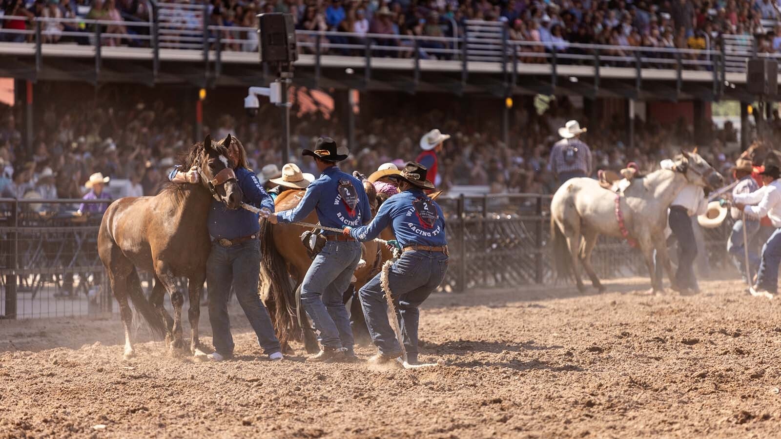 During the wild horse race at the 2024 Cheyenne Frontier Days.