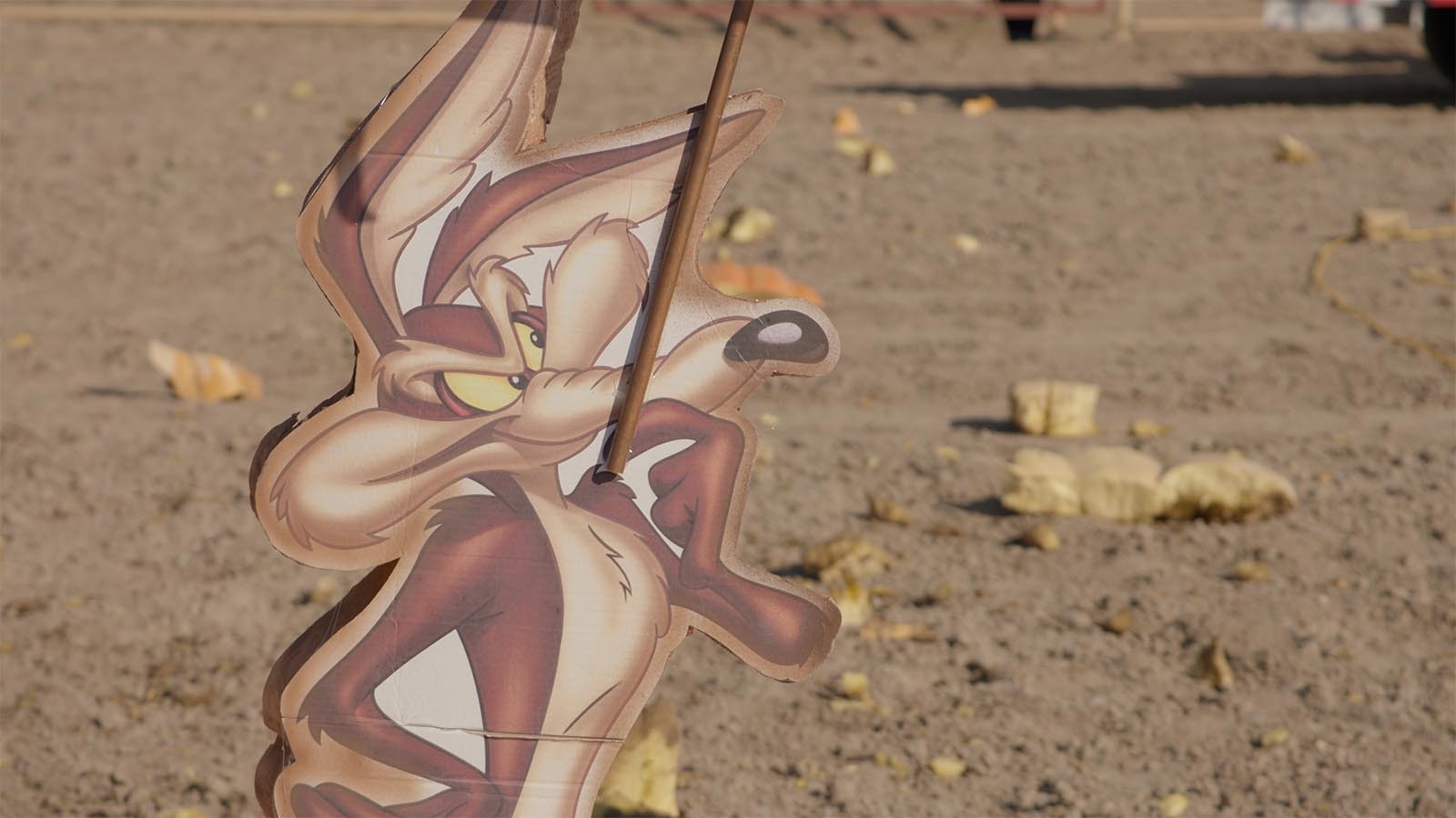 A cutout of Wile E. Coyote awaits its fate at the Washakie Fairgrounds on Oct. 5, 2024.