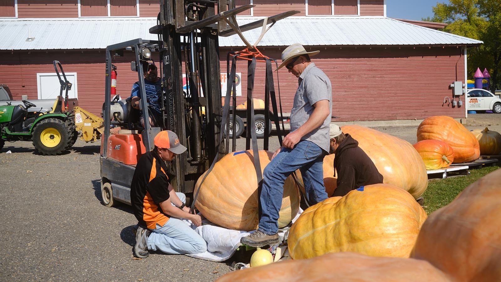 Grand prize winner and pumpkin grower Chad Kurtenbach helps other volunteers unload a pumpkin at the 2024 Wyoming State Pumpkin Weigh-Off Crowd on Oct. 5, 2024.