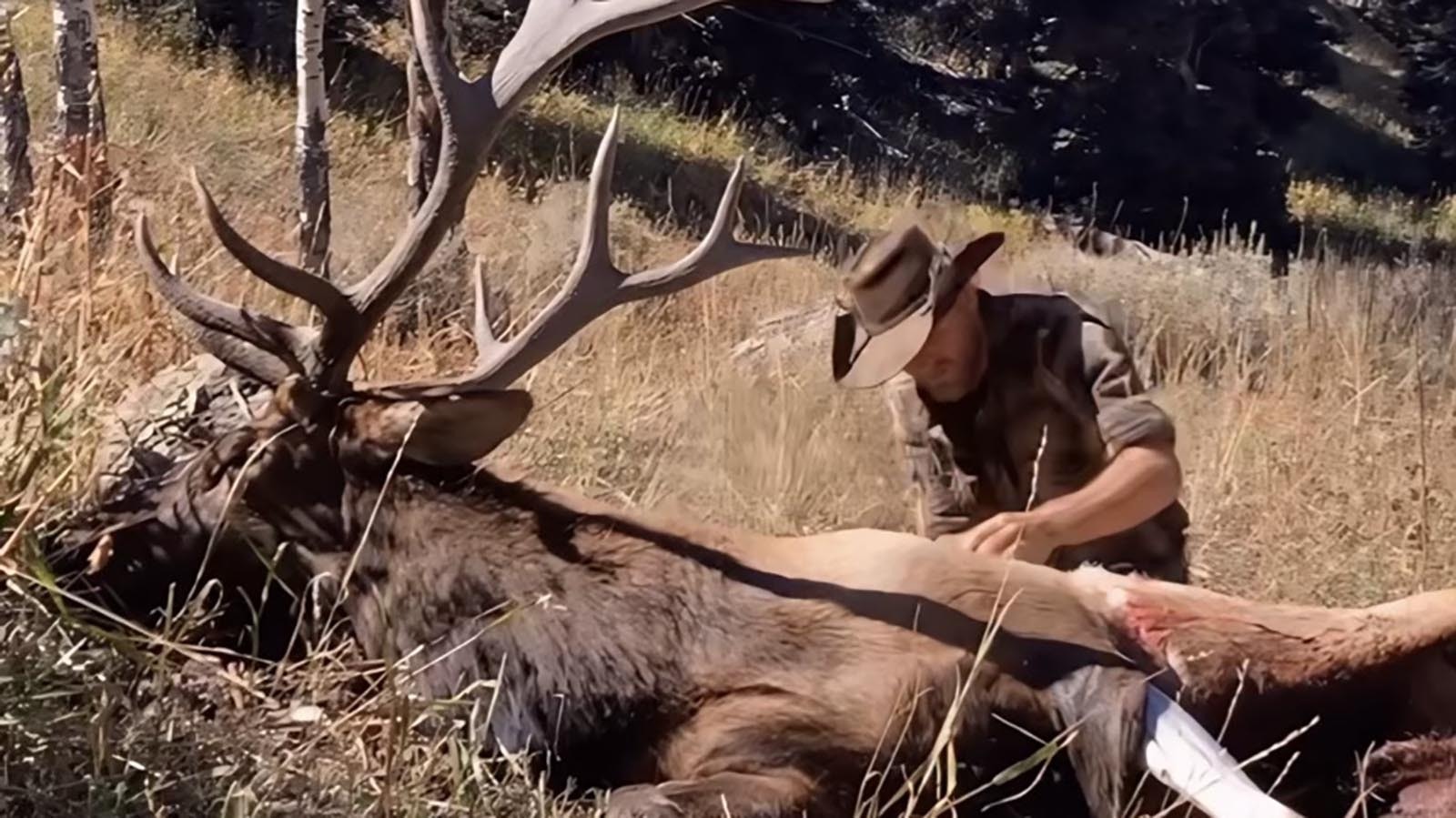 Cade Cole hunts and guides hunts for elk in the Dubois area. He said hunting was rough this year in the aftermath of massive wildfires.