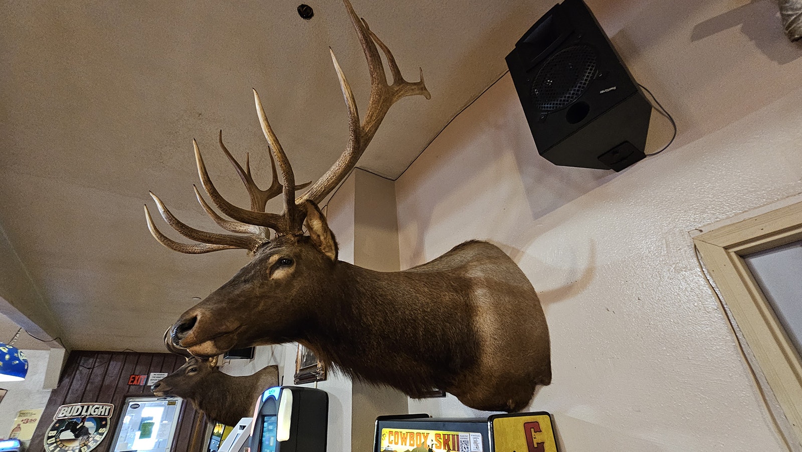 Shirley Bullock shot this elk hanging in the 3 Sisters Truck Stop.