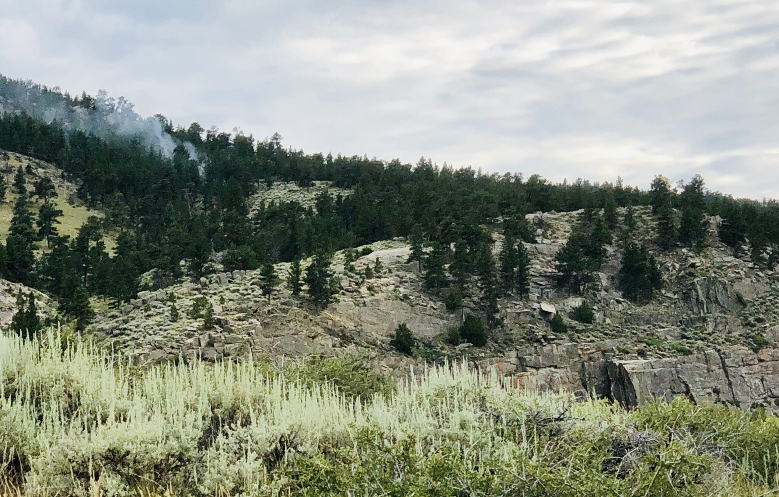 348 EE769 DB31 4868 AB1 E D12 C38306677 scaled