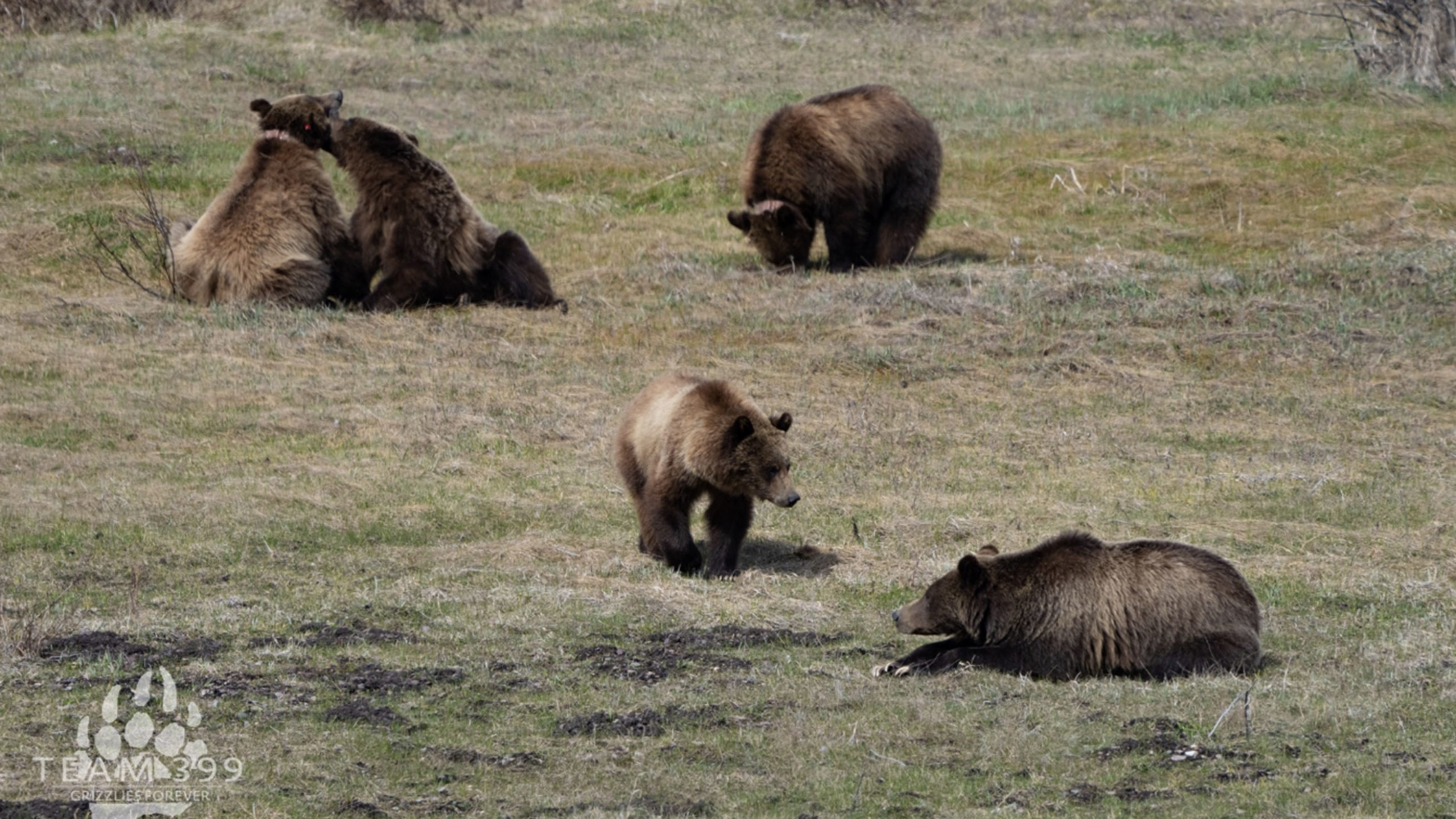 399 final photo scaled