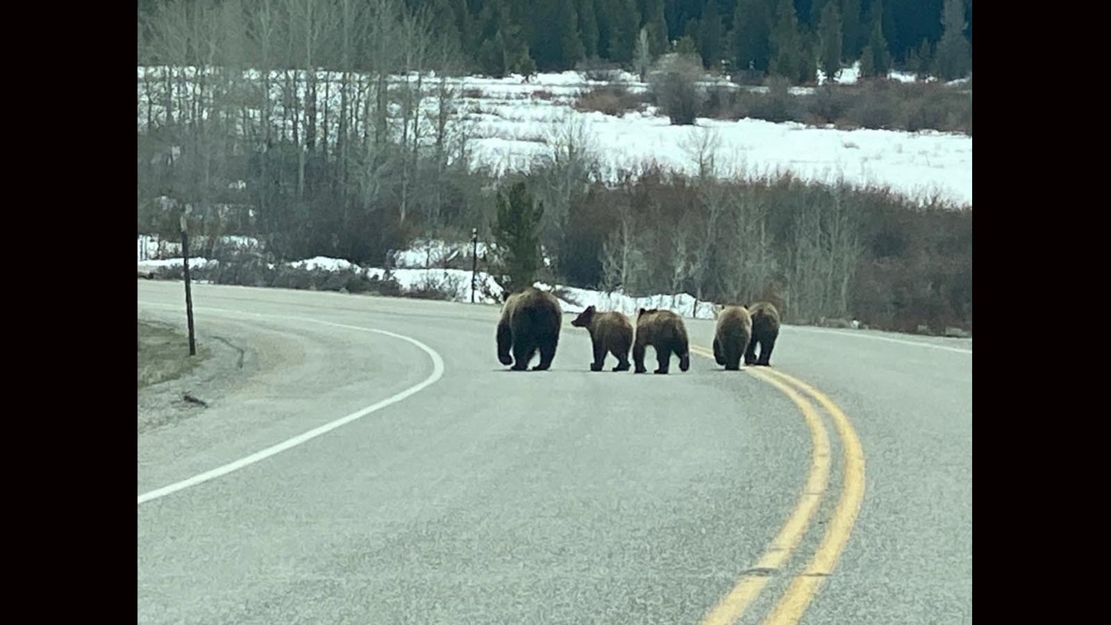 399 mountain journal