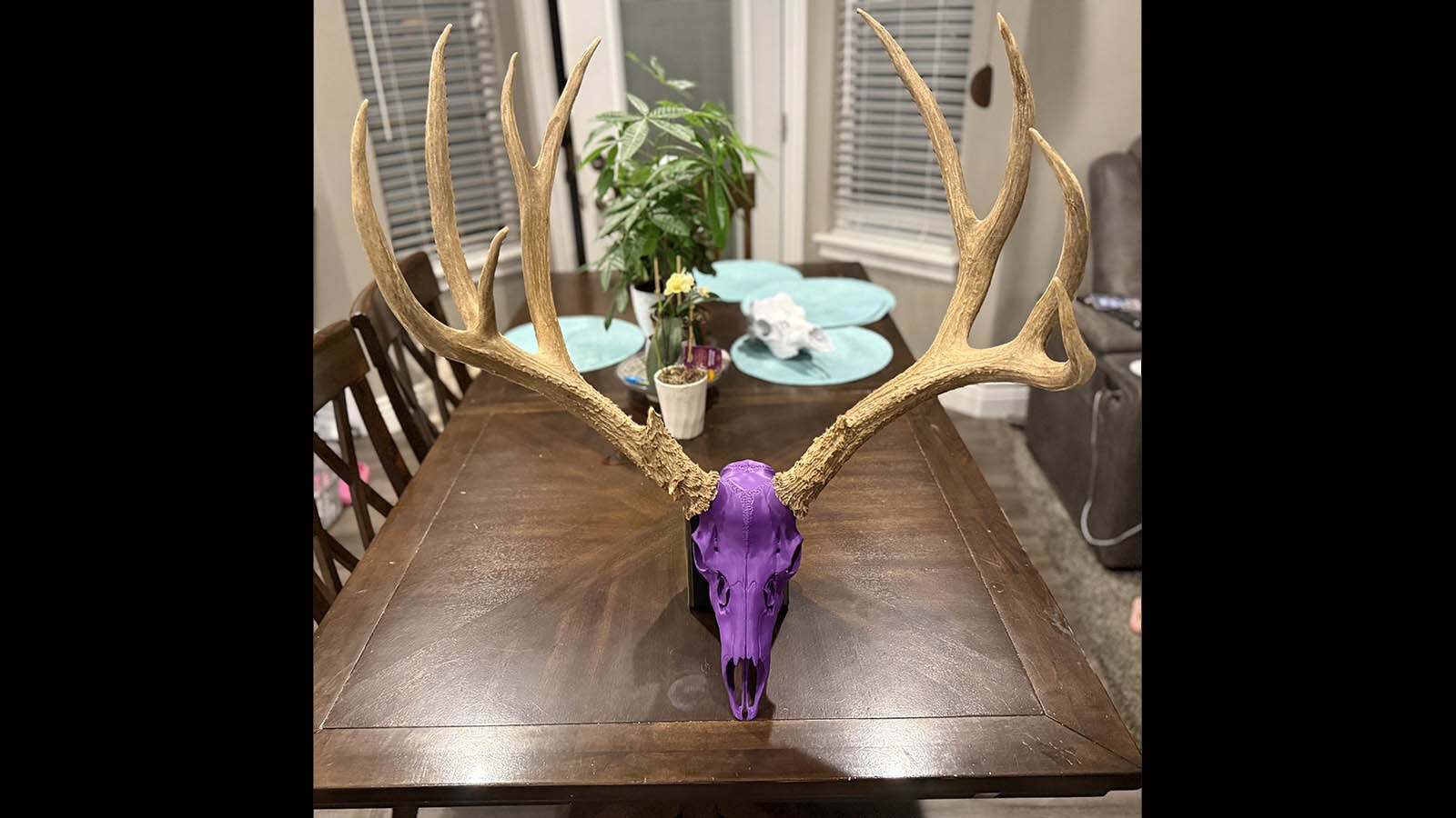 Avid hunter Shawn Sanchez offers other hunters 3D printed skulls, for mounting their trophy antlers and horns.