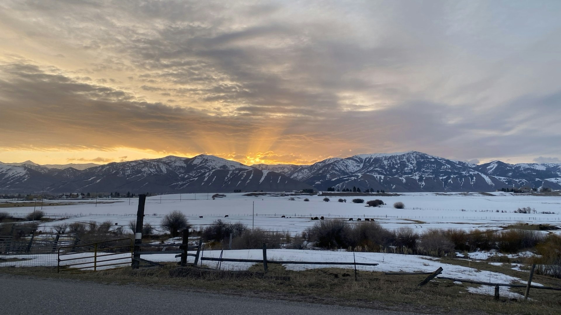 "Another beautiful spring morning here on Crow Creek Road, Fairview, Wyoming."