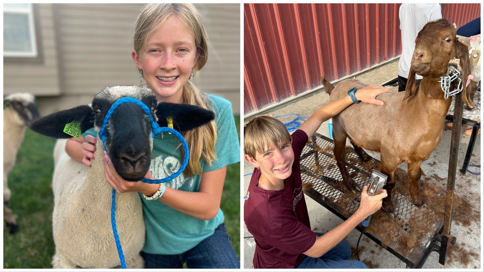 Isabelle Cox, left, with her lamb. At right, Jack Edmiston grooms Chocolate.