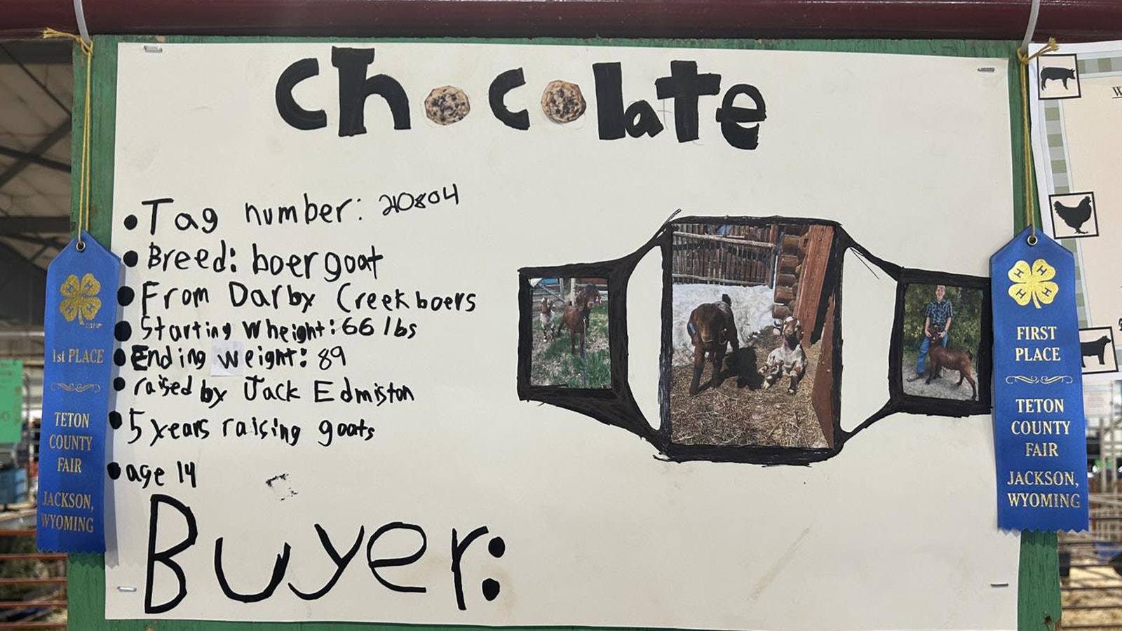 Jack Edmonton made this poster for his goat, Chocolate.
