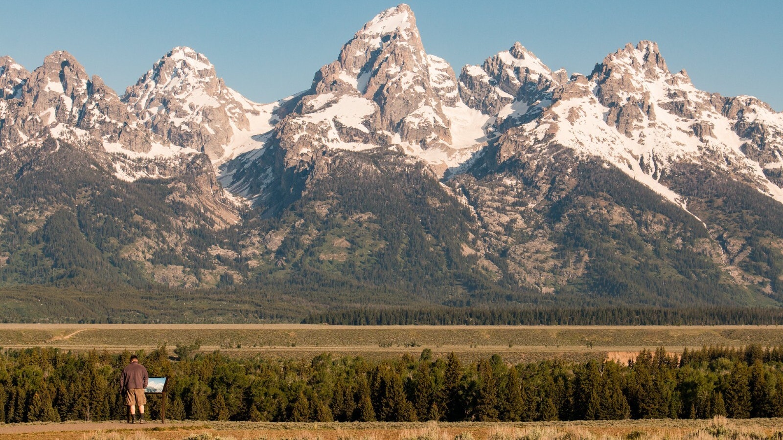 41300282330 a2df4dce45 k 1