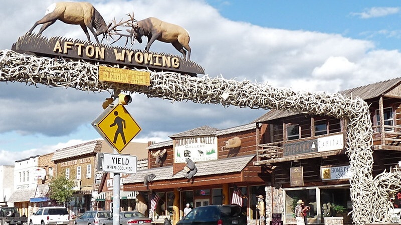 4352856275 84148d506d c