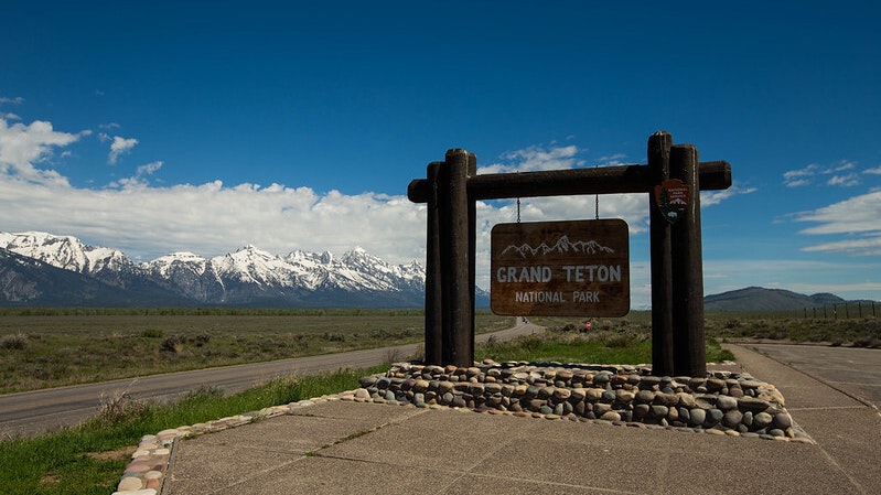 49995509816 0b3ceb8b14 c