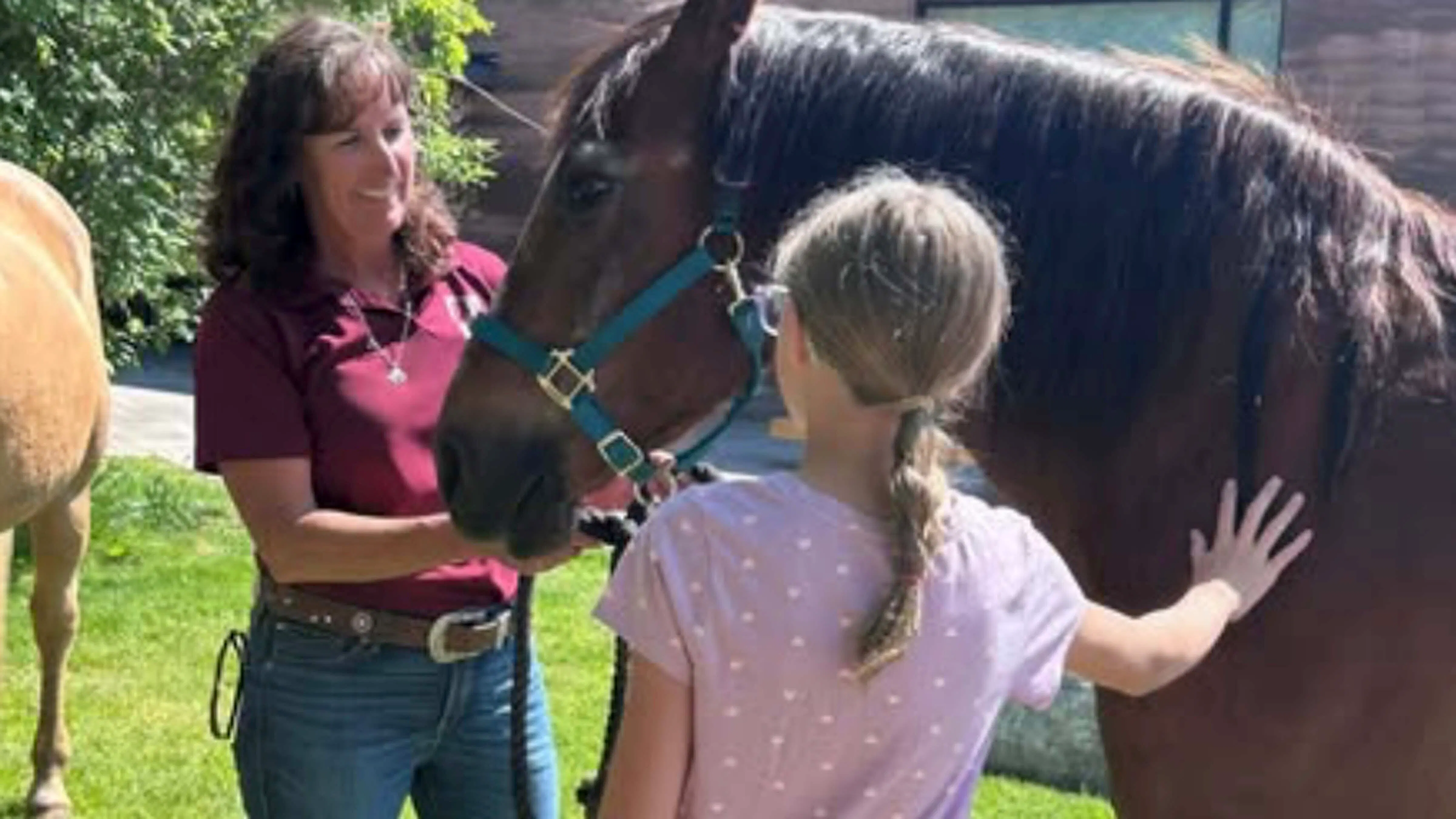 Carla Seely, Executive Director of MESA Equine Assisted Services, said MESA is seeking a permanent facility to keep and increase its number of horses before it can serve more children.
