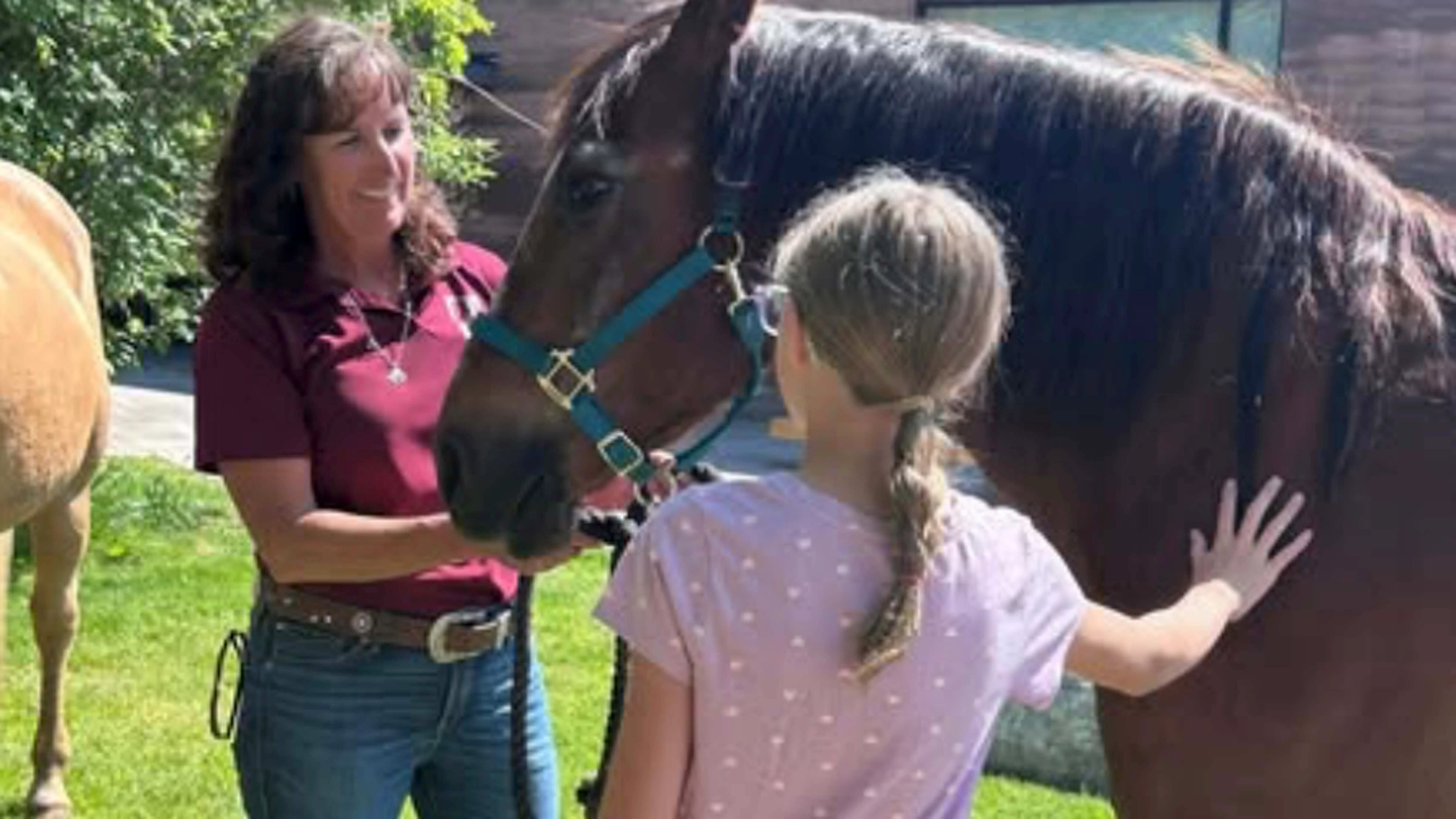 Carla Seely, Executive Director of MESA Equine Assisted Services, said MESA is seeking a permanent facility to keep and increase its number of horses before it can serve more children.