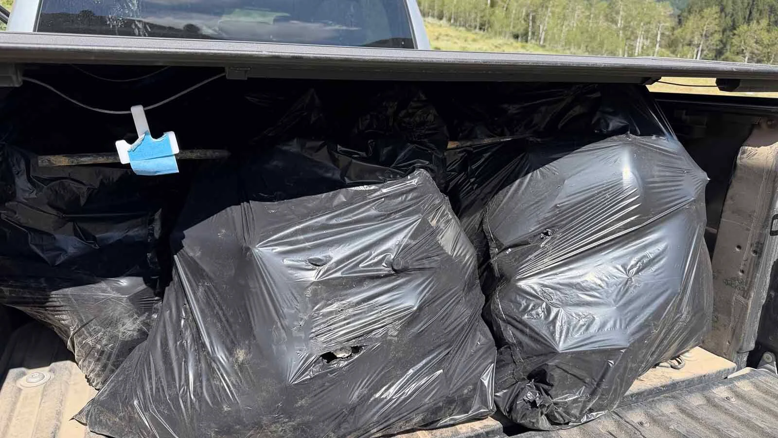 Bags of trash fill the bed of a pickup after a cleanup at the Fall Creek dispersed campsite in Bridger-Teton National Forest. Crews have repeatedly returned to the area to haul away garbage left behind.