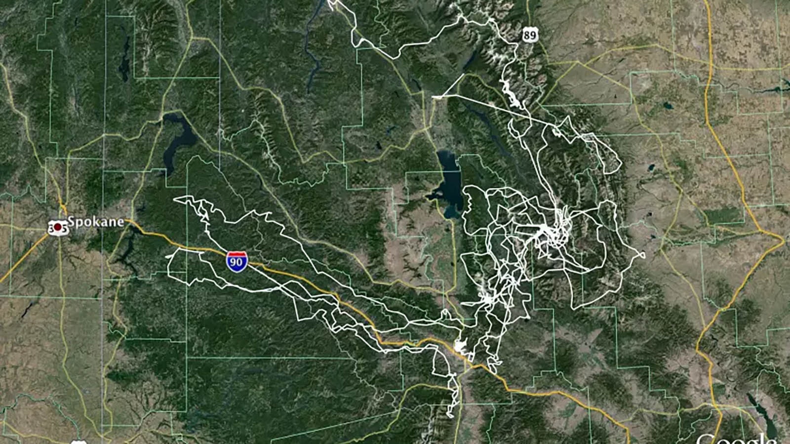 This map shows the wanderings of a grizzly named Ethyl over a roughly two-year period. Biologists think she might have been trying to get back to her home territory after being relocated.