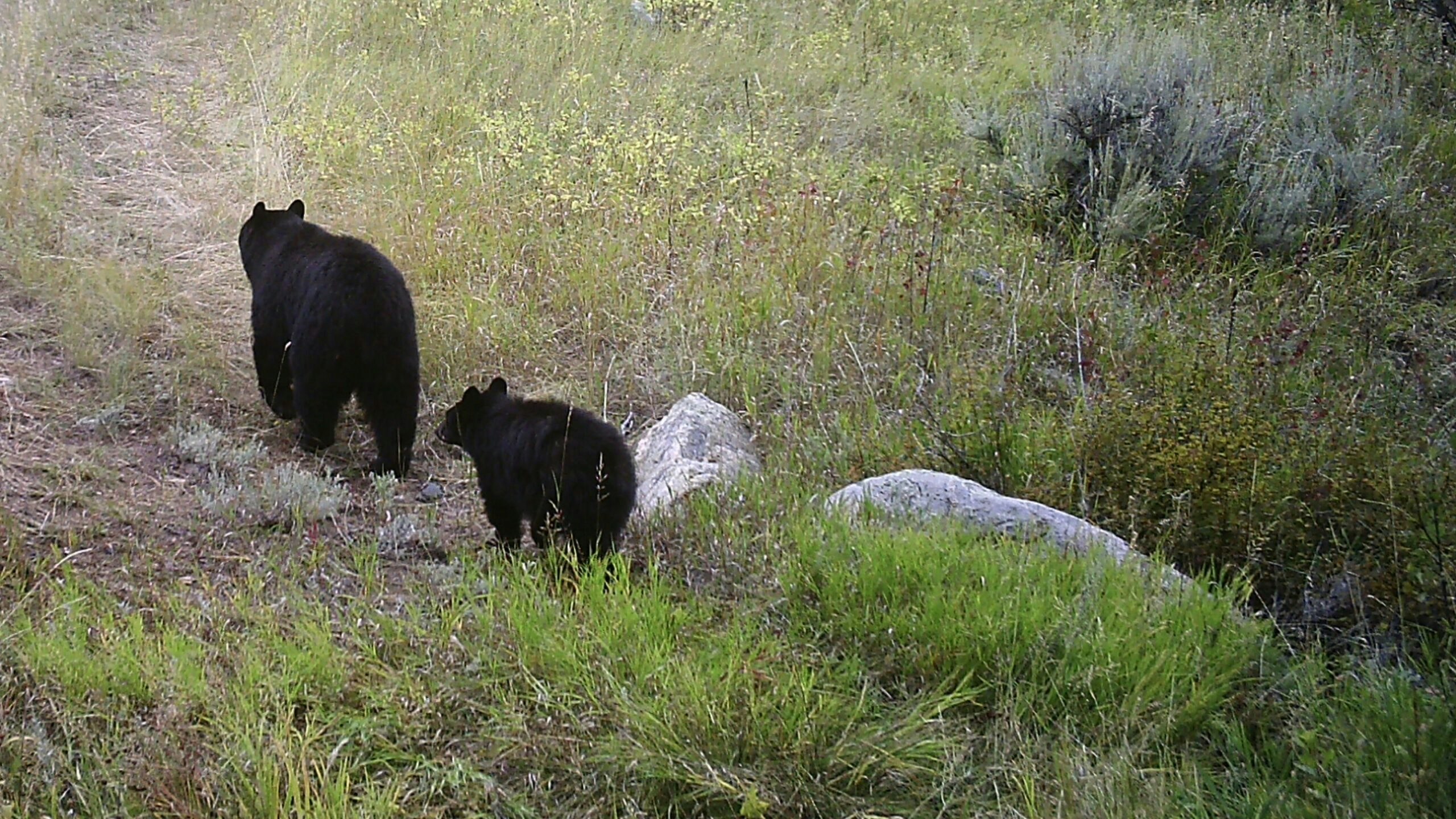 692 B4 D40 AB90 4005 AC81 3 E53 BB8 E3009 scaled