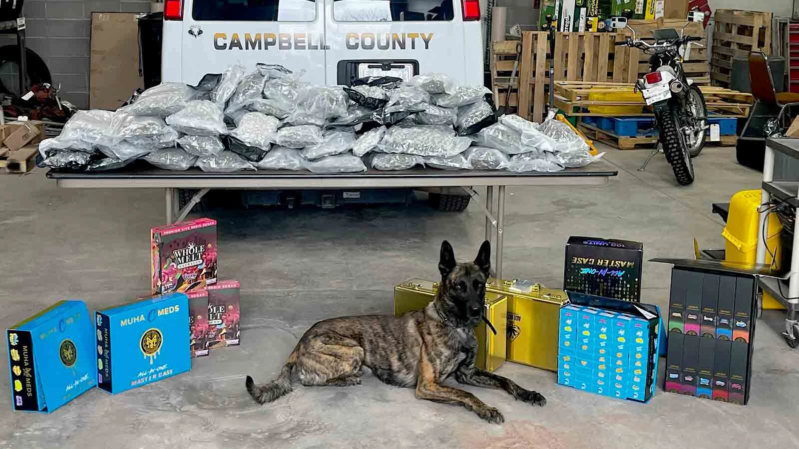 The driver of a Honda stopped on a rural Campbell County highway Sunday said the car was rented, and it smelled like marijuana when he got it. That’s probably because there was 75 pounds of pot in the trunk, along with more than 1,000 grams of liquid THC.