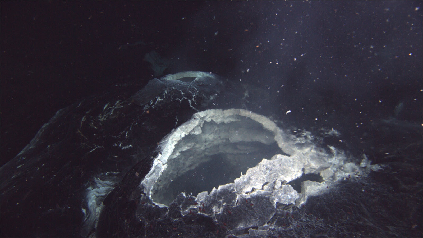 snowblower hydrothermal vent spewing hot water from Axial Seamount volcano.