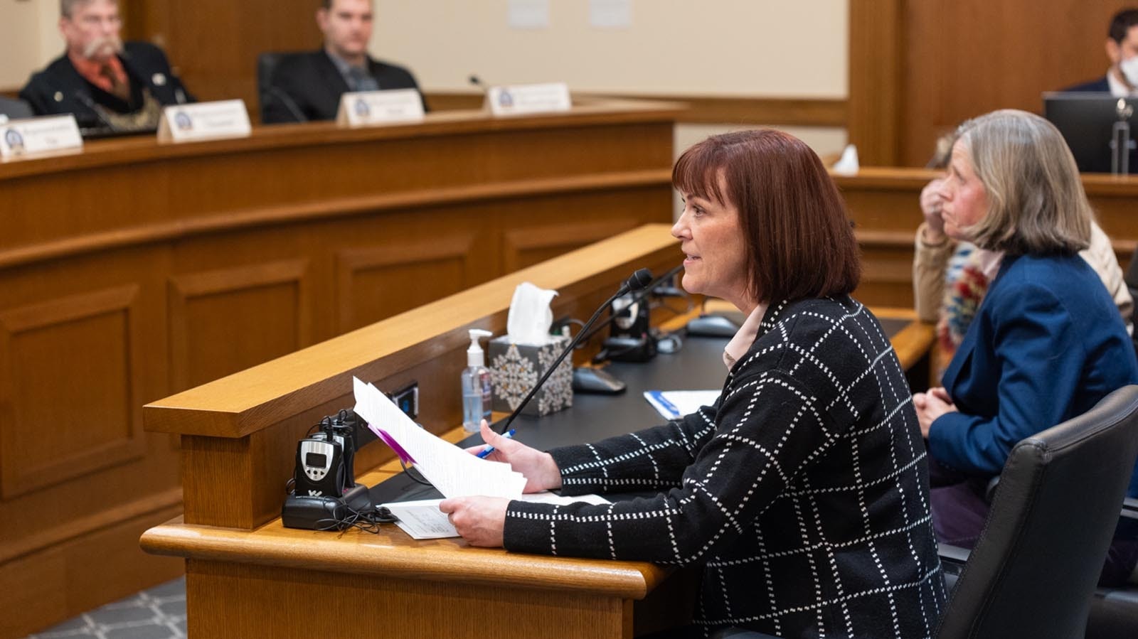 Dr. Rene Hinkle testifies abainst an abortion pill bill before the House Labor Health and Social Services Committee on Friday, Jan. 24, 2025.