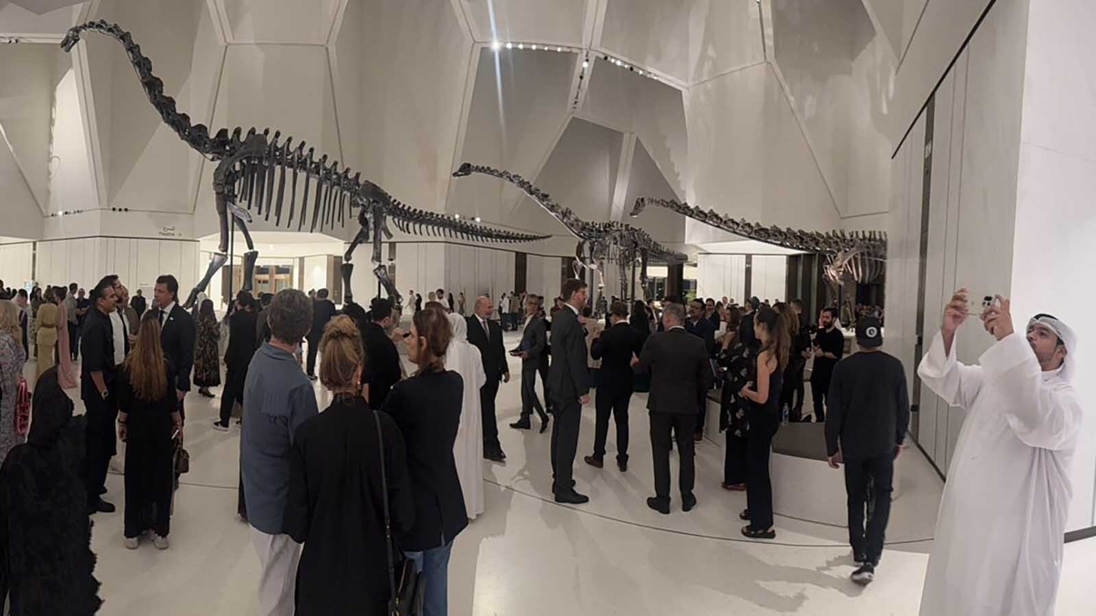 The lobby of the Natural History Museum Abu Dhabi during its opening in November 2025. At least three of these massive dinosaurs, and possibly all five, were found in the Late Jurassic Morrison Formation of Wyoming.