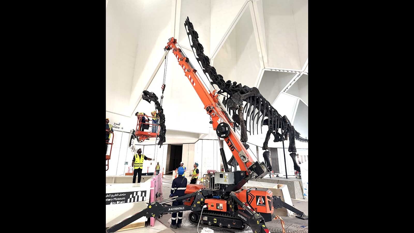 A team from the Black Hills Institute of Geological Research in South Dakota assembles a Brachiosaurus skeleton in the lobby of  the Natural History Museum Abu Dhabi in the United Arab Emirates. The dinosaur was so big, it couldn't be fully assembled until it reached the Middle East.