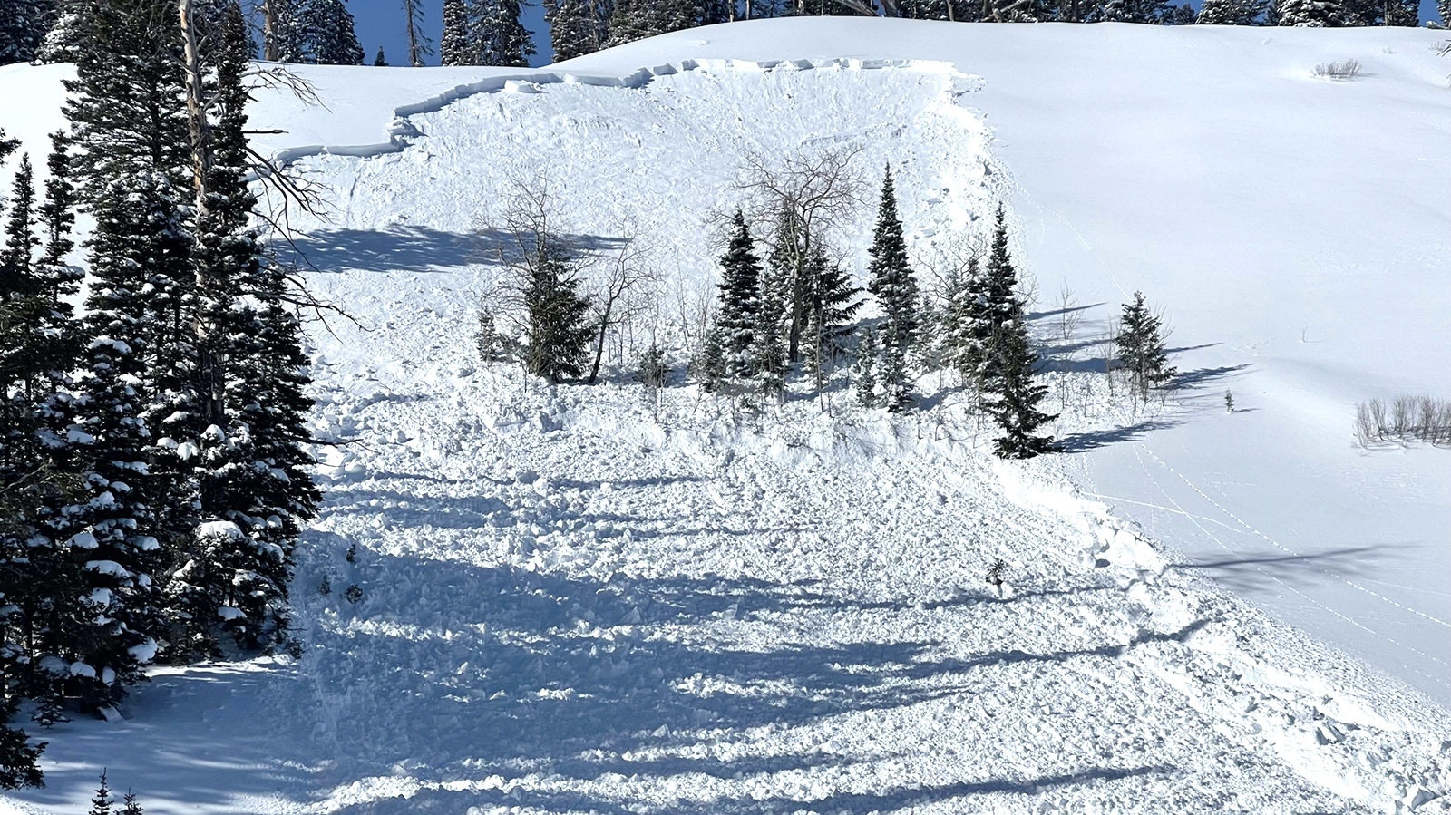 Abundant avalanche activity has been noted in recent days throughout the northwestern Wyoming region.