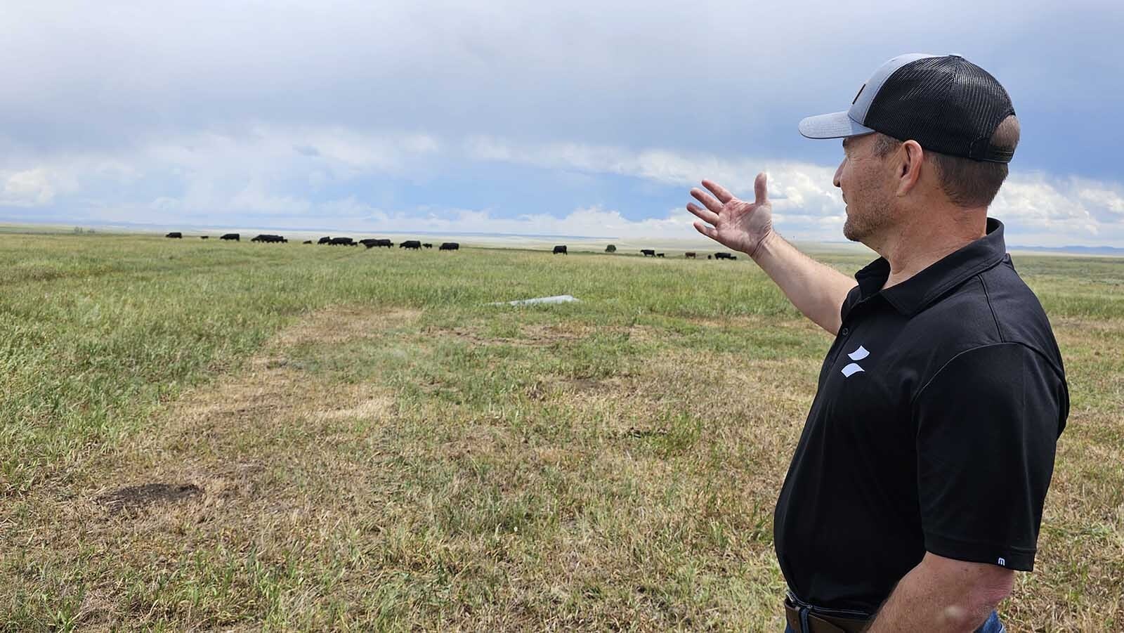 Airloom Energy CEO Neal Rickner talks about how cows will be able to pass safely under the wind energy device he's building a prototype of near Laramie.