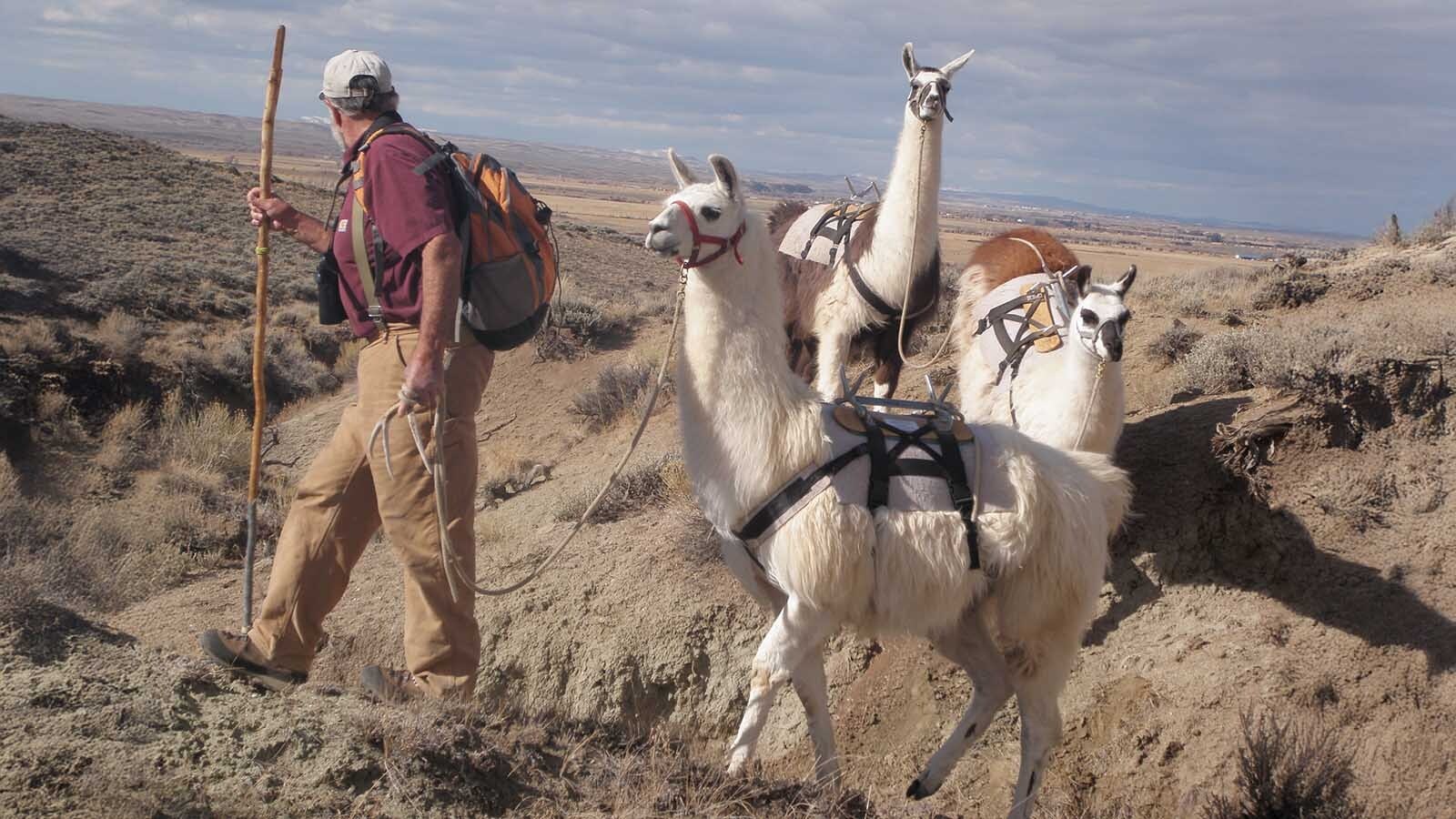 Al Ellis is a Navy veteran and former commercial abalone diver who built a successful pack llama business in Western Wyoming. He’s donated his 207-acre Boulder llama ranch as a sanctuary for veterans and first responders.