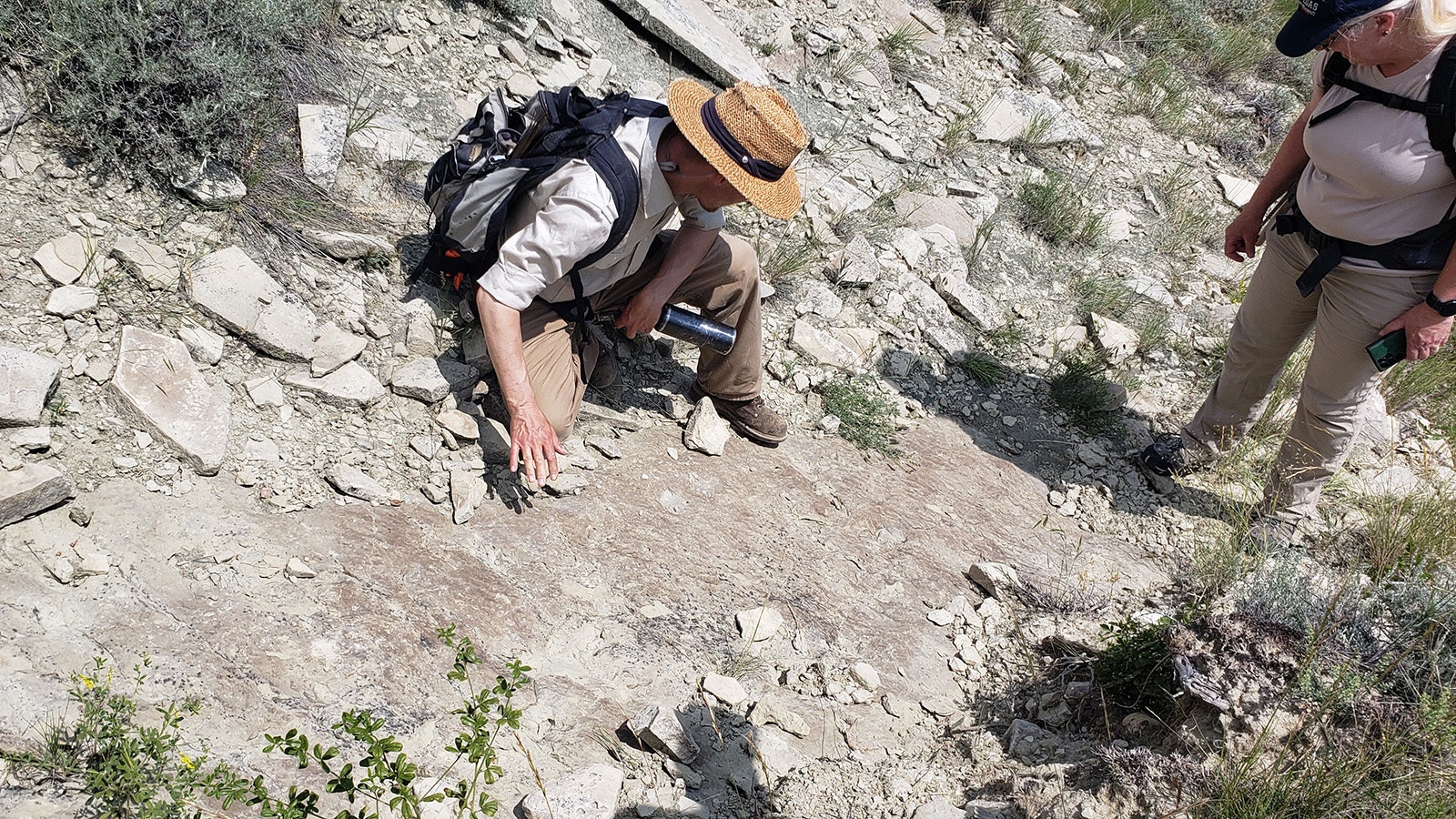 Bill Matteson explains a site where some dinosaur tracks have been preserved.