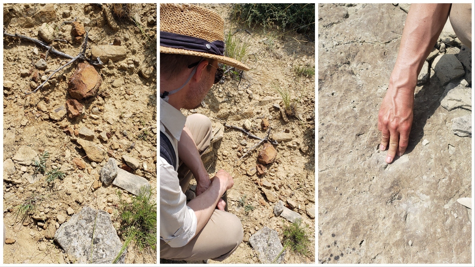Left: Broken pieces of fossils on the surface of the ground are sometimes indicators that more might lie beneath; center: Bill Matteson examines the ground in a different area of Sheridan's quarry, where fossils are red-tinted instead of black; right: These dinosaur tracks show some sort of three-toed creature once passed through the area millions of years ago.