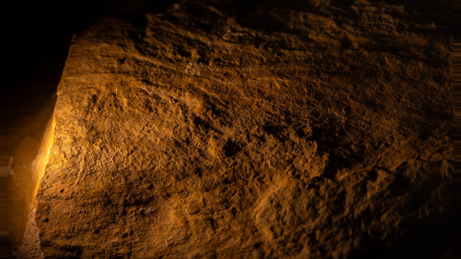 Allosaurus skin impression preserved in the sandstone from the "Jurassic Mile" near Lovell. Laura Rooney, curator of paleontology at the Children's Museum of Indianapolis, said skin impressions have been found along the right side of the articulated skeleton they've been excavating. It is currently being prepared in Indianapolis.