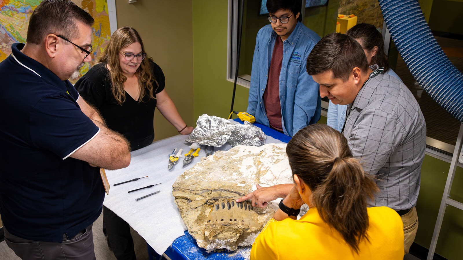 Paleontologists examine the Allosaurus snout in the fossil preparation lab at the Children's Museum of Indianapolis.