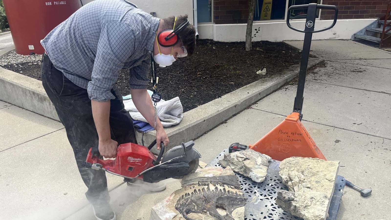 A rock saw is used to "slim down" the sandstone block containing the articulated skull of an Allosaurus at the Children's Museum of Indianapolis. Laura Rooney, curator of paleontology at the museum, arranged for the blocks to be CT-scanned for an inside look at the fossils inside, but they needed to lose some weight before they could fit inside the machine.